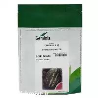 قیمت خرید بذر هندوانه کریمسون سوییت در قزوین در گروه خرید و فروش بذر هندوانه در یکمیوه