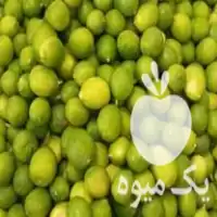 قیمت خرید لیمو ترش رودان در بار  در گروه خرید و فروش لیمو ترش در یکمیوه