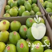 قیمت خرید لیمو ترش محلی در گروه خرید و فروش لیمو ترش در یکمیوه