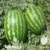 قیمت خرید قیمت بذر هندوانه ویکیما در گروه خرید و فروش بذر هندوانه در یکمیوه