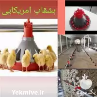 قیمت خرید قفس مرغ تخمگذار در گروه تجهیزات مرغداری در یکمیوه