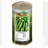 فروش بذر خیار گلخانه ای gsn در ارومیه در گروه خرید و فروش بذر خیار در یکمیوه