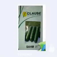 فروش بذر خیار گلخانه ای مونزا در ارومیه در گروه خرید و فروش بذر خیار در یکمیوه