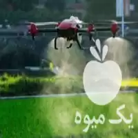 سمپاشی با پهپاد در بهمن در گروه خدمات باغبانی در یکمیوه