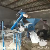 قیمت خرید لوازم مرغ مادر کلیه در سنندج در گروه تجهیزات مرغداری در یکمیوه