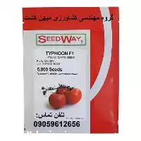 فروش بذر گوجه فرنگی تایفون F 1 در کرمان  در گروه خرید و فروش بذر گوجه در یکمیوه