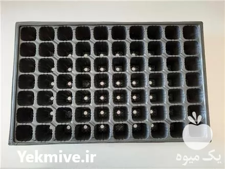 قیمت خرید سینی کشت در تهران در گروه خرید و فروش نشا در یکمیوه -عکس1