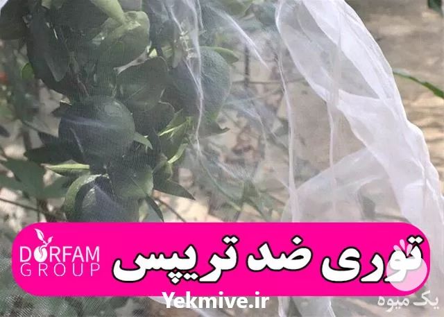 فروش توری ضد حشره در گروه خرید و فروش توری گلخانه در یکمیوه -عکس1