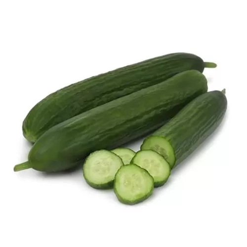 قیمت خرید بذر خیار میان رس در تهران در گروه خرید و فروش بذر خیار در یکمیوه -عکس1