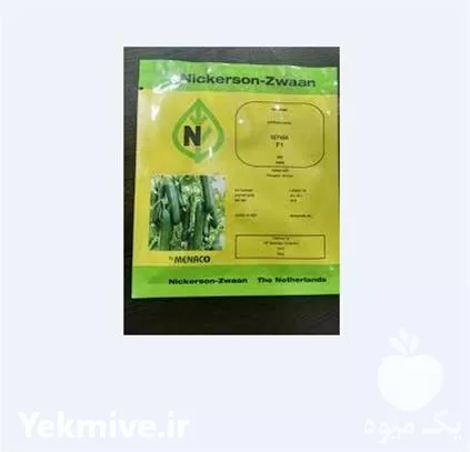 فروش بذر خیار گلخانه ای کیهان در ارومیه در گروه خرید و فروش بذر خیار در یکمیوه -عکس1