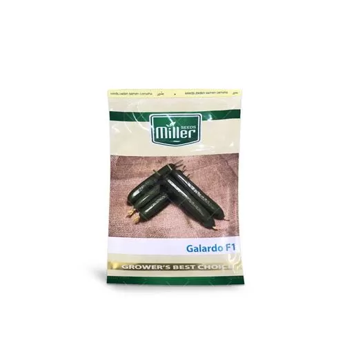 فروش بذر خیار گلخانه ای پرگل در تهران در گروه خرید و فروش بذر خیار در یکمیوه -عکس1