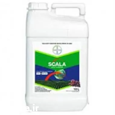 فروش سم قارچ کش SCALA بایر در تهران در گروه خرید و فروش انواع سم در یکمیوه -عکس1