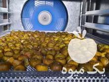 قیمت خرید خشک کن پرتقال سیب در ارومیه در گروه خشک کن در یکمیوه -عکس1