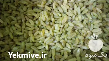 تولید و فروش کشمش کاشمر در گروه خرید و فروش آجیل در یکمیوه -عکس1