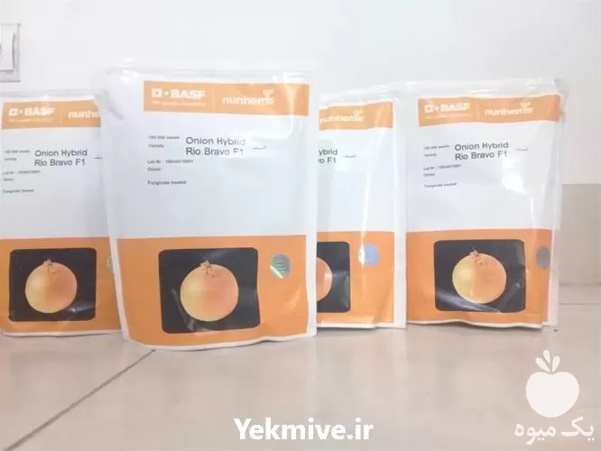 فروش بذر پیاز ریوبراوو در گروه خرید و فروش بذر پیاز در یکمیوه -عکس1