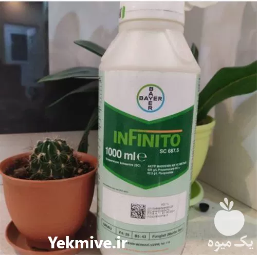 قیمت خرید سم قارچ کش Infinito در تهران در گروه خرید و فروش انواع سم در یکمیوه -عکس1