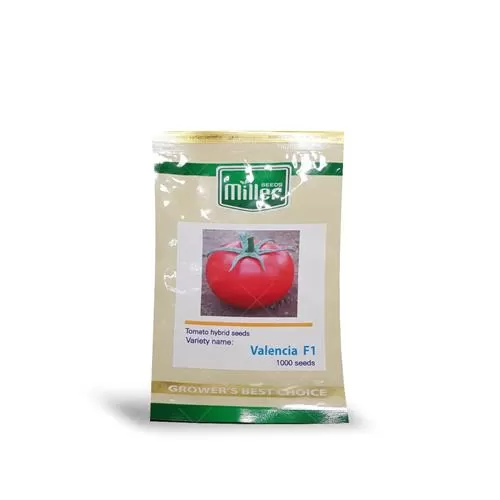 قیمت خرید بذر گوجه فرنگی گلخانه در تهران در گروه خرید و فروش بذر گوجه در یکمیوه -عکس1