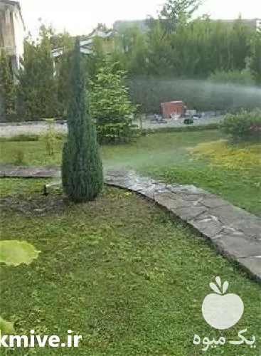 اجرای سیستم آبیاری قطره ای در ساری در گروه خرید و فروش اتصالات و تجهیزات آبیاری در یکمیوه -عکس1