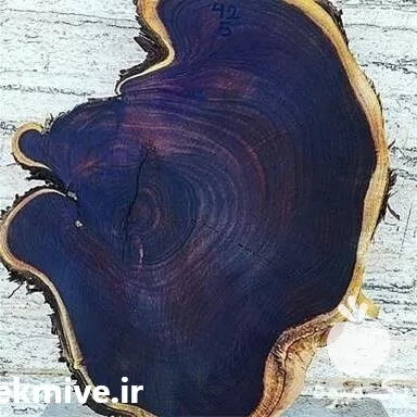 فروش کالباسی کهور در هرمز در گروه خرید و فروش اسلب چوب در یکمیوه -عکس1