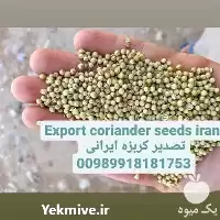 خرید گشنیز گشنیز قیمت در گروه خرید و فروش گیاهان دارویی در یکمیوه