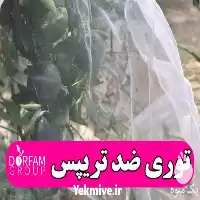 فروش توری ضد حشره در گروه خرید و فروش توری گلخانه در یکمیوه
