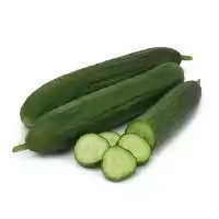 قیمت خرید بذر خیار میان رس در تهران در گروه خرید و فروش بذر خیار در یکمیوه