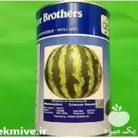 بذر هندوانه بیکر فروش بذر کشاورزی در مشهد در گروه خرید و فروش بذر هندوانه در یکمیوه