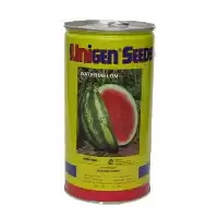 قیمت خرید بذر هندوانه یونیژن در کرج در گروه خرید و فروش بذر هندوانه در یکمیوه