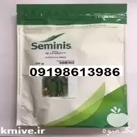 بذر خیار پر فروش N 2 در گروه خرید و فروش بذر خیار در یکمیوه