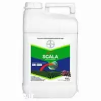 فروش سم قارچ کش SCALA بایر در تهران در گروه خرید و فروش انواع سم در یکمیوه