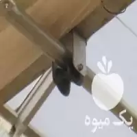 فروش قرقره سیستم مکانیزه شید ذخیره در تهران در گروه خرید و فروش توری گلخانه در یکمیوه