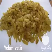 قیمت خرید کشمش طلایی در کاشمر در گروه خرید و فروش آجیل در یکمیوه