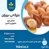قیمت خرید مغز دانه آرگان در تهران در گروه خرید و فروش ادویه در یکمیوه