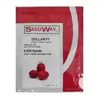 توزیع بذر عمده خرده فروش بذر در گروه خرید و فروش بذر گوجه در یکمیوه