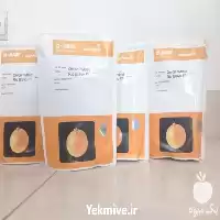 فروش بذر پیاز ریوبراوو در گروه خرید و فروش بذر پیاز در یکمیوه