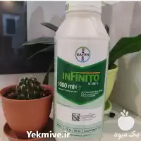 قیمت خرید سم قارچ کش Infinito در تهران در گروه خرید و فروش انواع سم در یکمیوه