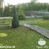 اجرای سیستم آبیاری قطره ای در ساری در گروه خرید و فروش اتصالات و تجهیزات آبیاری در یکمیوه