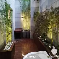 طراحی و اجرای فضای سبز در گروه سازنده در یکمیوه