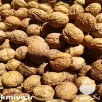 گردو خرید از باغ دار در مشهد در گروه خرید و فروش گردو در یکمیوه