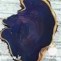 فروش کالباسی کهور در هرمز در گروه خرید و فروش اسلب چوب در یکمیوه