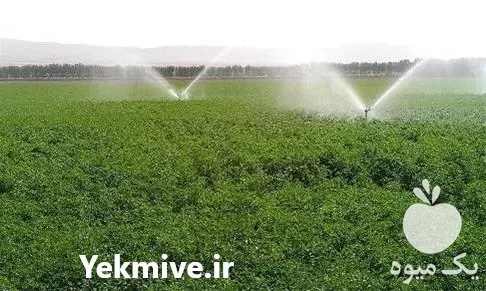 آبیاری اتوماتیک در ساری در گروه خرید و فروش اتصالات و تجهیزات آبیاری در یکمیوه -عکس1