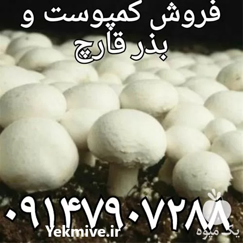 قیمت خرید کمپوست قارچ در ارومیه در گروه خرید و فروش کود کمپوست در یکمیوه -عکس1