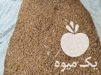 فروش گندم دیم 22 کیسه در گروه خرید و فروش گندم و جو در یکمیوه -عکس1