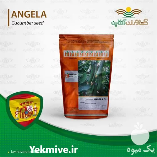 قیمت خرید بذر خیار گلخانه زودرس در تهران در گروه خرید و فروش بذر خیار در یکمیوه -عکس1