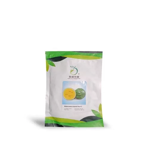 قیمت خرید بذر هندوانه زرد آناناسی در تهران در گروه خرید و فروش بذر هندوانه در یکمیوه -عکس1