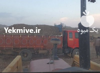 فروش ویژه کود مرغی قفسی در کاشان در گروه خرید و فروش کود مرغی در یکمیوه -عکس1