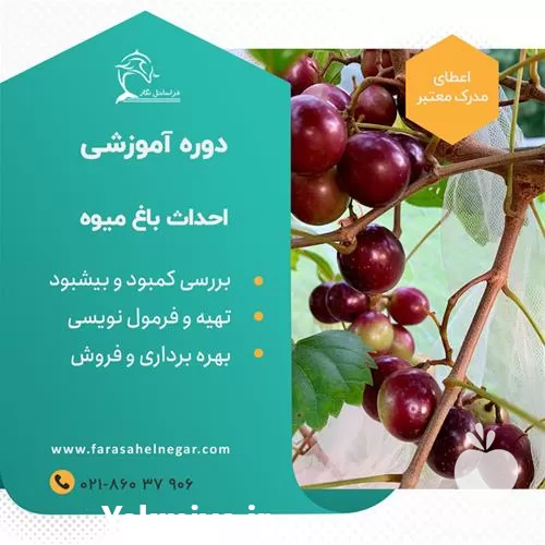 نحوه ایجاد باغ میوه در تهران در گروه دوره آموزش کشاورزی در یکمیوه -عکس1