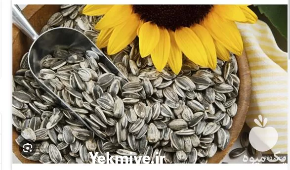 فروش انواع بذر تخم آفتابگردان در ارومیه در گروه خرید و فروش انواع تخمه در یکمیوه -عکس1