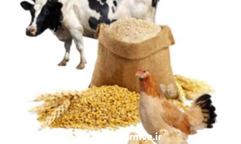 فروش تولید مکمل غذایی دامی در تهران در گروه دارو و داروخانه در یکمیوه -عکس1