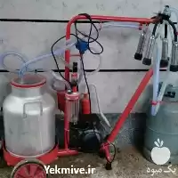 فروش دستگاه شیردوش دام در تهران در گروه تجهیزات دامداری در یکمیوه